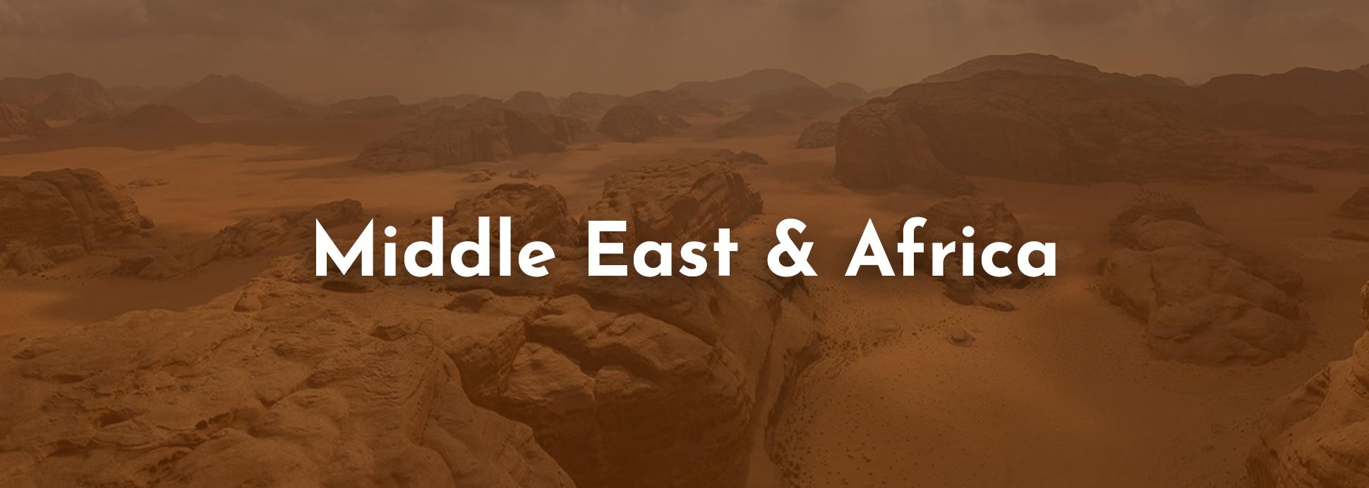 Middle East and Africa